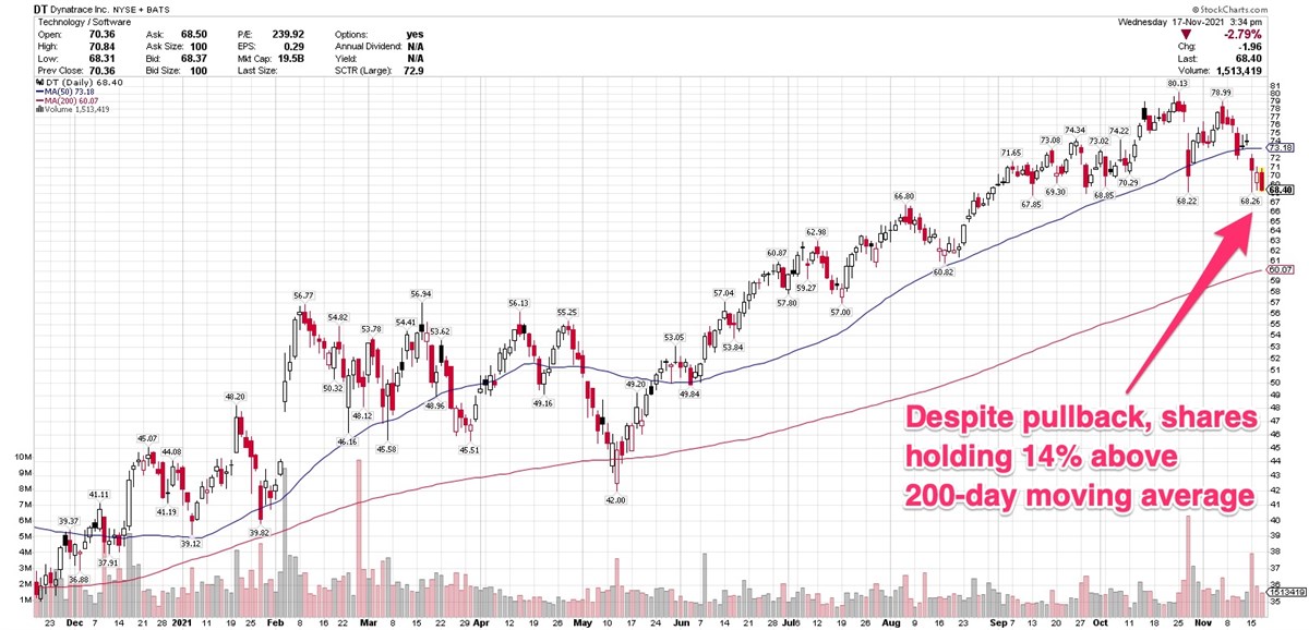 Will Dynatraces Pullback Set The Stage For More Gains? 